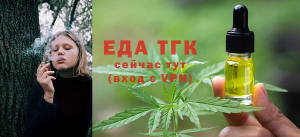 молекула духа Ельня