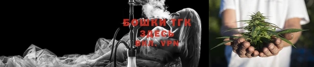 шишки Медногорск