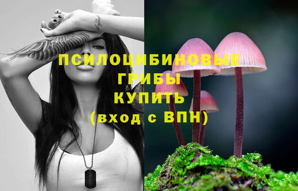 молекула духа Ельня