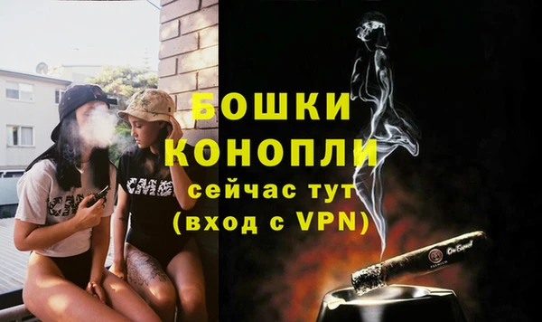 метадон Белокуриха