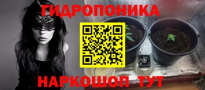 твердый Гусь-Хрустальный
