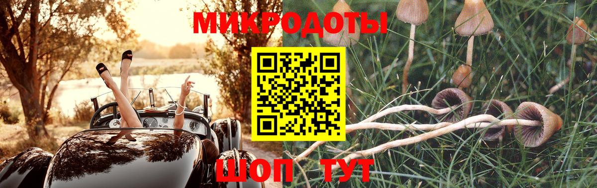 Галлюциногенные грибы мицелий  Вход с VPN  Дедовск 