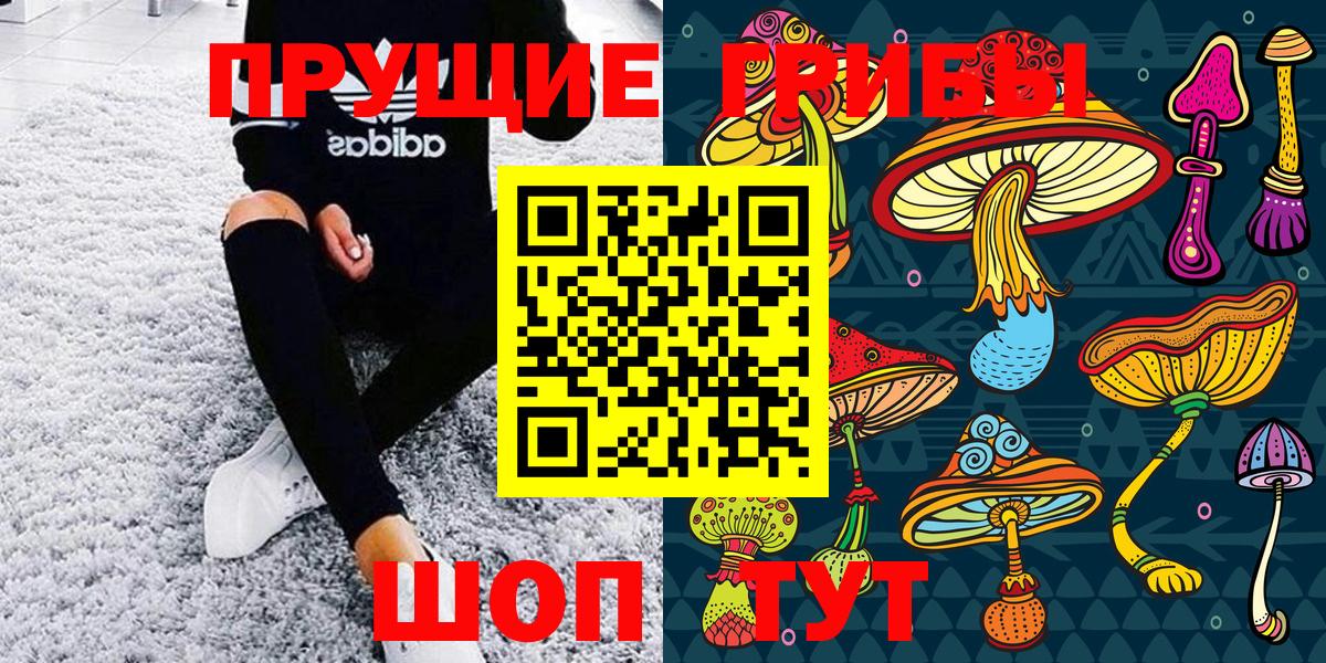 Псилоцибиновые грибы мухоморы  Дедовск  Псилоцибиновые грибы MAGIC MUSHROOMS 